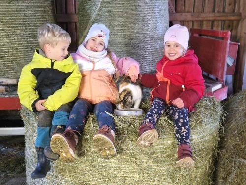 Kinder Freude und Tiere zum anfassen Kinder Freude und Tiere zum anfassen