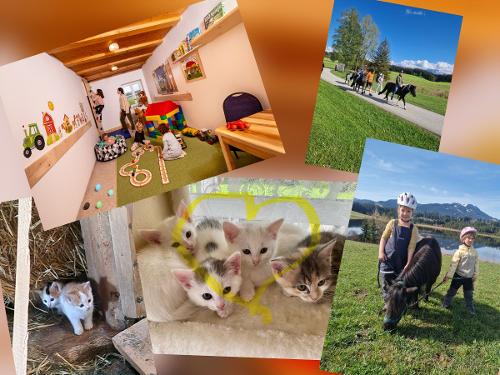 Kinder freude Kinder freude