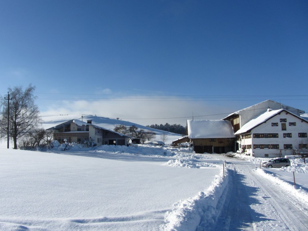 hofbild