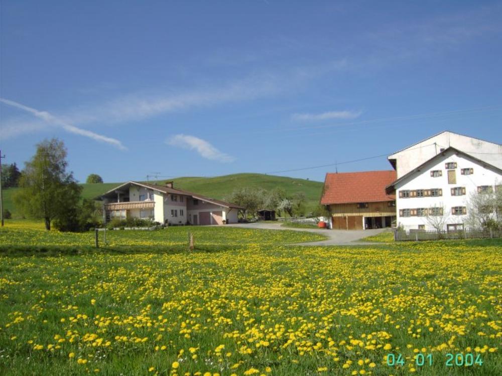 Frühlingsstimmung auf dem Hof