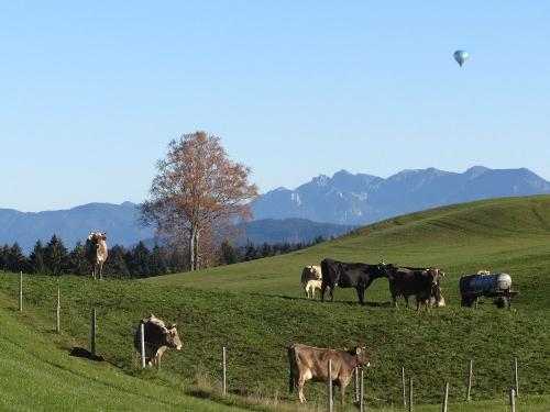 unserelandschaft