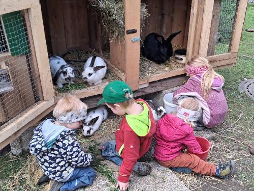 Kinder beim Hasenfüttern im Freilaufgehege