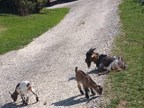 Das Dreamteam genießt die Sonne