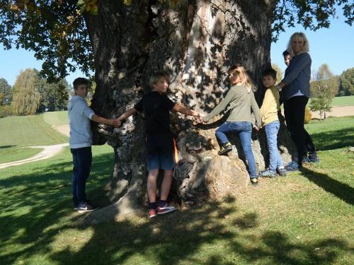 Die Natur kennen lernen