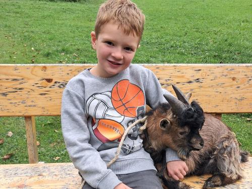 Ziege Bubbi genießt die Schmuse Stunde