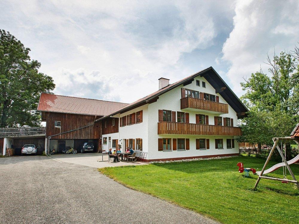 Ammersinn_Rinder_Wald_014