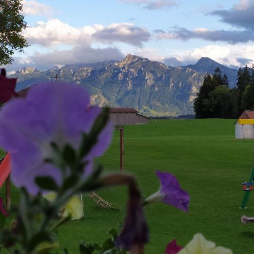 Blick auf den Tegelberg