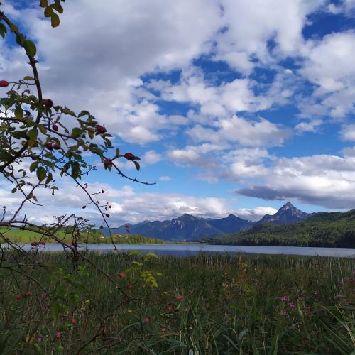 Der Weissensee