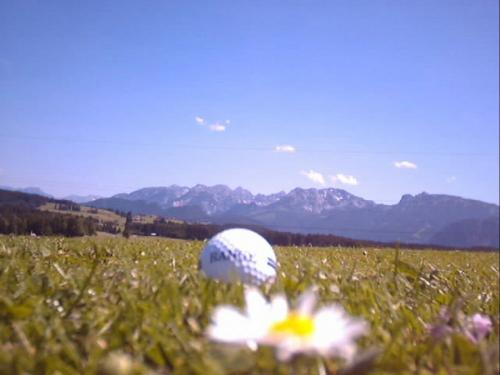 Golfpanorama