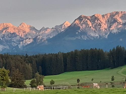 Majestätisches Abendrot vom Balkon der Wohnung