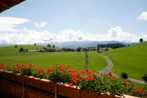 Ausblick vom Balkon - Schloß Neuschwanstein
