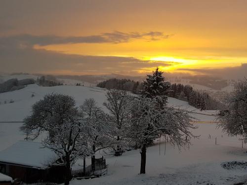 Sonnenuntergang im Winter