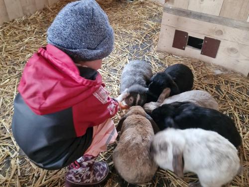 Fleißig bei der Arbeit