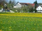 Obstgarten und Hof
