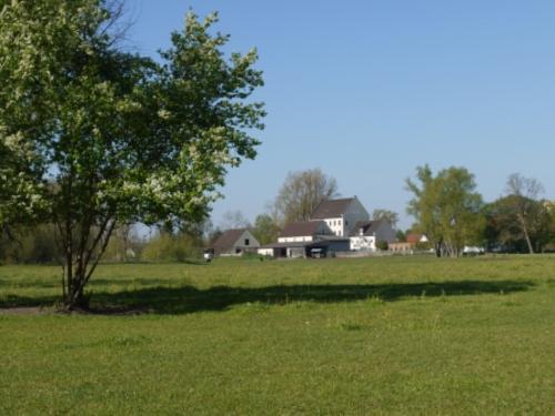 p1100363