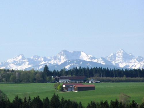 aussichtaufdieschneebedecktengipfelderallgueralpen100ausblick84