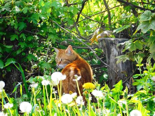 Minka auf Tour Minka auf Tour