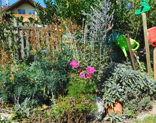 Kräuterbeet Kräuterbeet