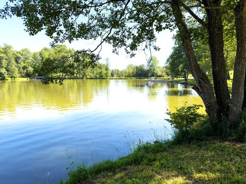 Ruhe am Weiher Ruhe am Weiher