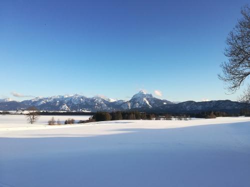 Winterlandschaft