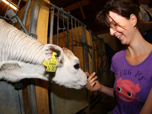Landwirtschaft hautnah erleben