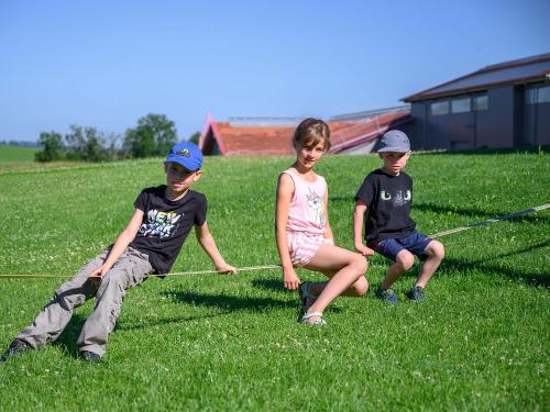 Ferienhof Schweiger-Spielplatz-5485
