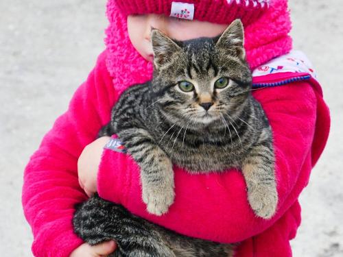 Freundschaft für immer