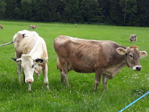 kheaufderweide