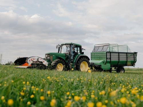 frisches Gras für die Kühe mähen