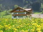 Löwenzahnfrühling