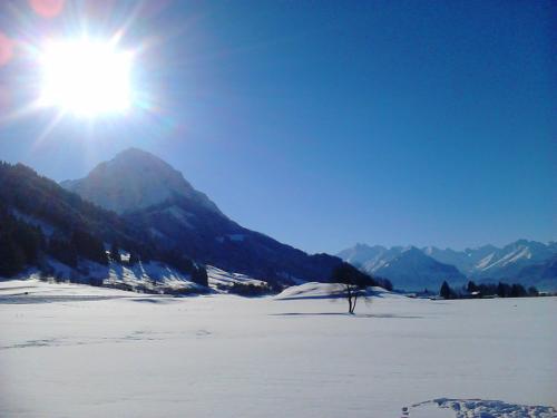 Unsere Winterlandschaft
