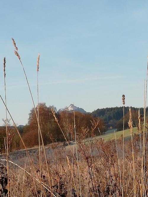 Blick auf den Grünten