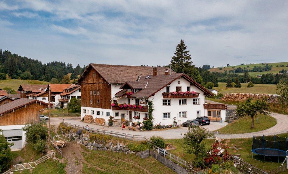hofbil