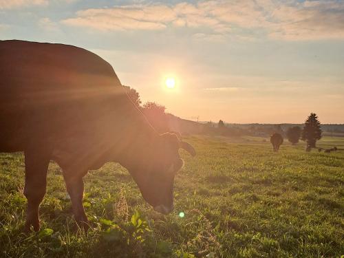Abendstimmung