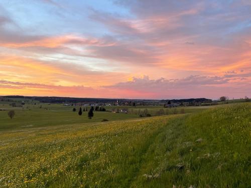 Abendstunden hat Gold im Mund