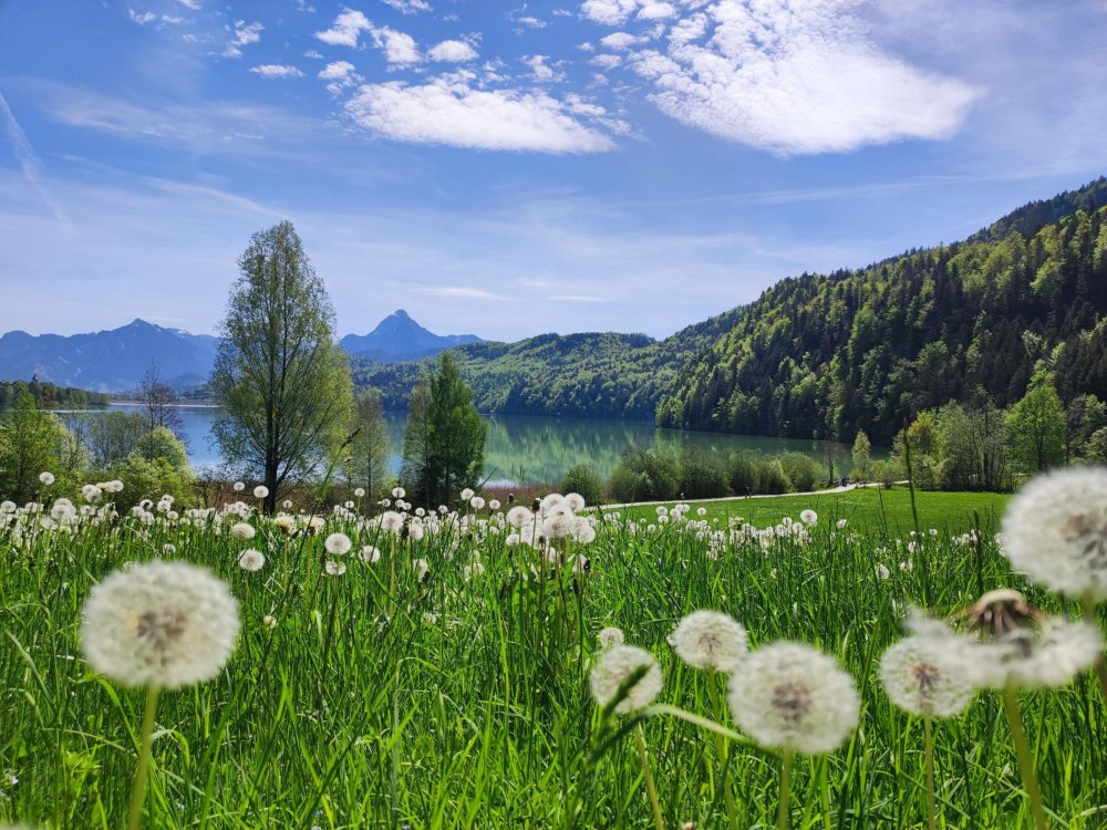 Hausansicht Ostseite