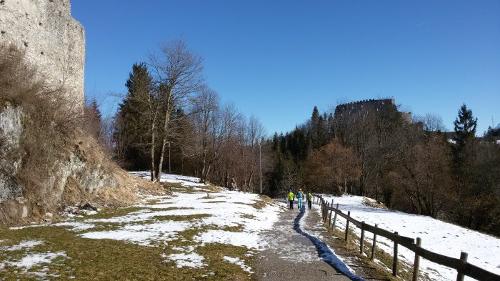 Die Ruinen bei Zell