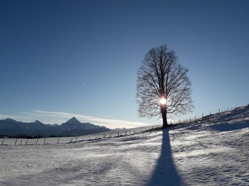 Schneeschuh-wanderung