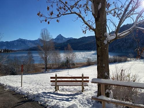 Der  Öldra-weg  zum See