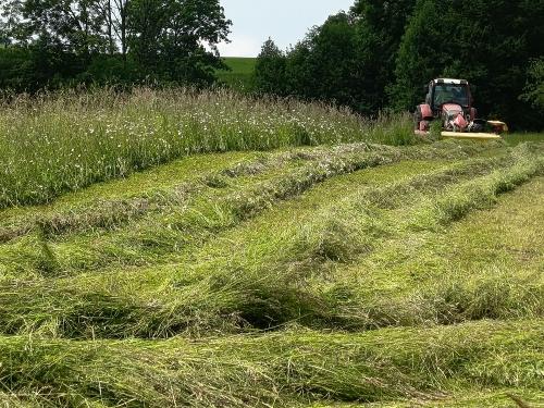 Die Heuernte beginnt