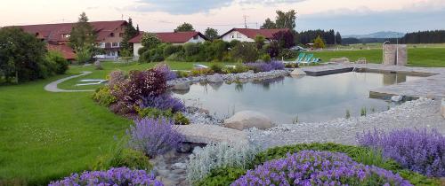 Unsere Schwimmteich