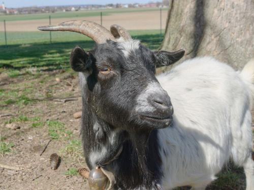 Unsere Sissi freut sich auf Euch