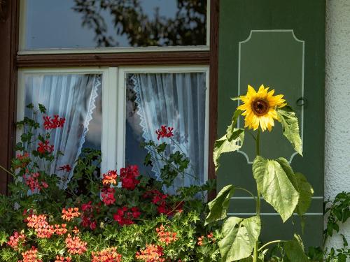 Ferienhof Böck Garten_002 Ferienhof Böck Garten_002