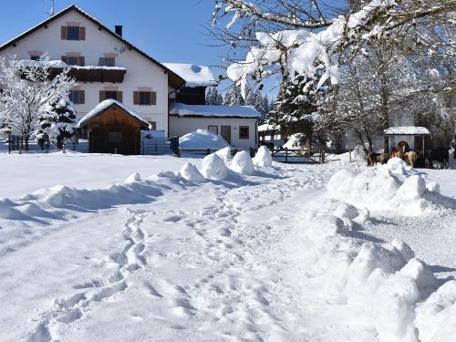 Winter am Breyerhof