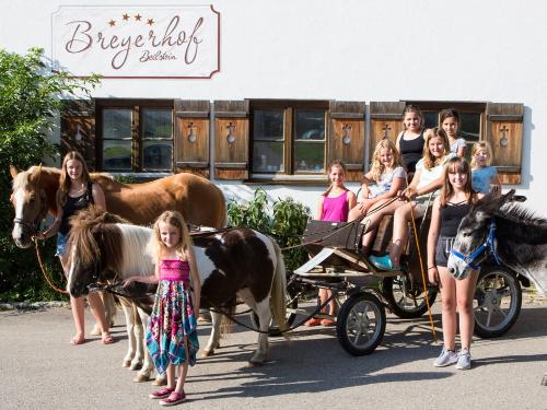 Ponykutschfahrt mit Balu und Cipsy