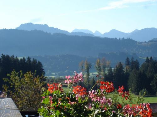 schöne Aussicht ....