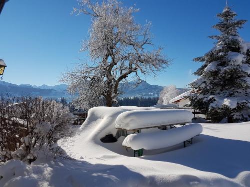winter-schne
