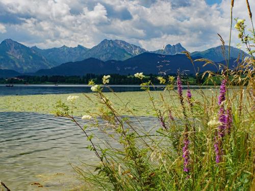 hopfensee