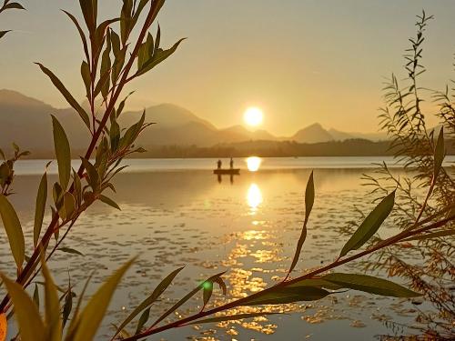Hopfensee