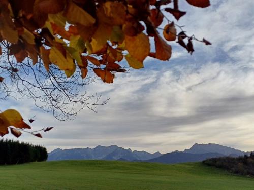 Herbst